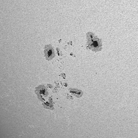 太陽黒点(活動領域13905&13906) 2024/11/25