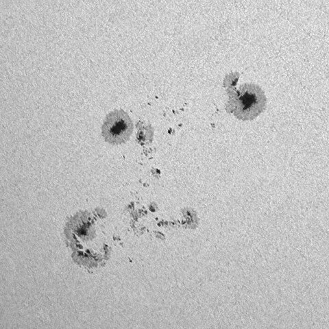 太陽黒点(活動領域13905&13906) 2024/11/26