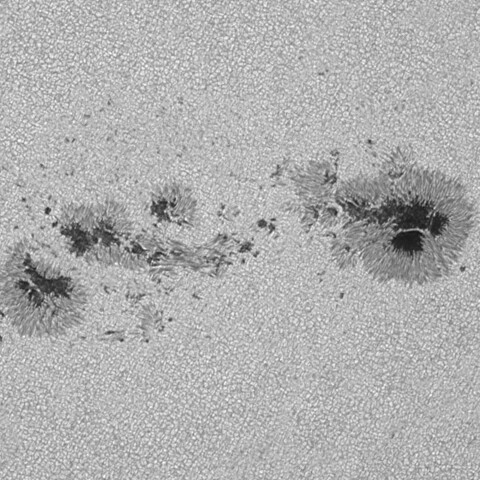 太陽黒点(活動領域13961) 2025/01/21