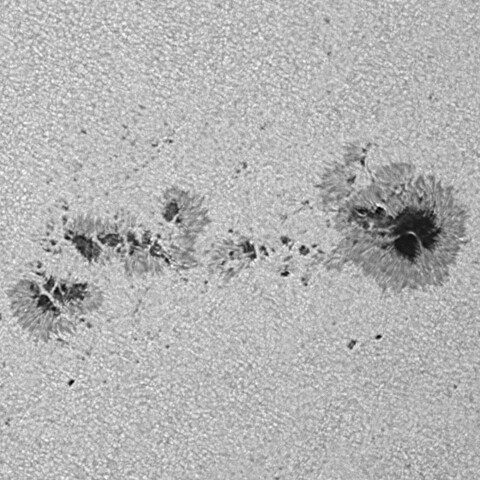 太陽黒点(活動領域13961) 2025/01/22