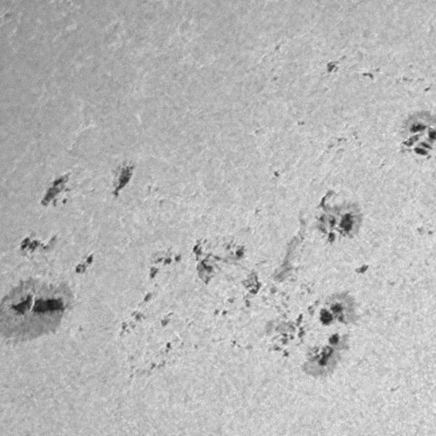 太陽黒点(活動領域13976&13977&13978) 2025/01/31