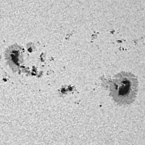 太陽黒点(活動領域13981) 2025/02/06