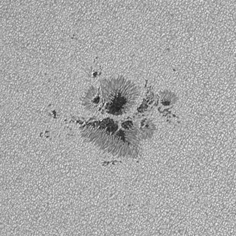 太陽黒点(活動領域14062) 2025/04/19