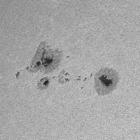 太陽黒点(活動領域14064) 2025/04/19