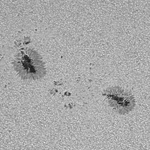 太陽黒点(活動領域14064) 2025/04/21