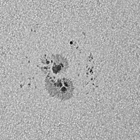 太陽黒点(活動領域14062) 2025/04/22