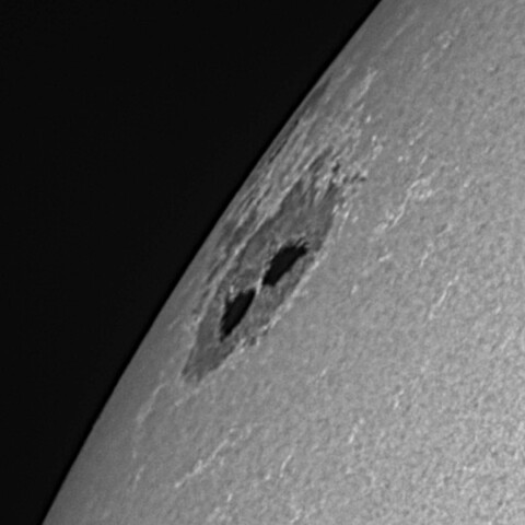 太陽黒点(活動領域14079) 2025/04/29
