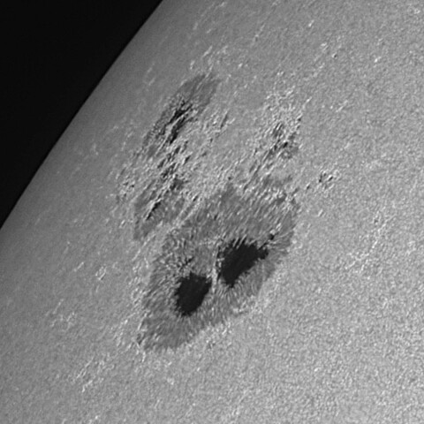 太陽黒点(活動領域14079) 2025/04/30