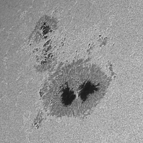 太陽黒点(活動領域14079) 2025/05/01