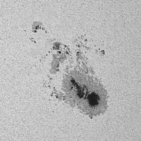 太陽黒点(活動領域14079) 2025/05/07