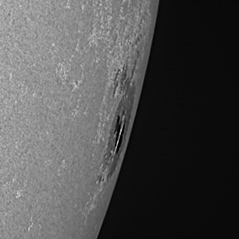 太陽黒点(活動領域14079) 2025/05/11