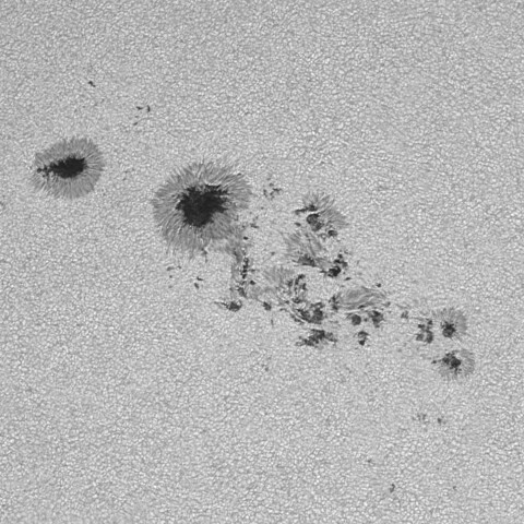 太陽黒点(活動領域14114&14115の一部) 2025/06/16
