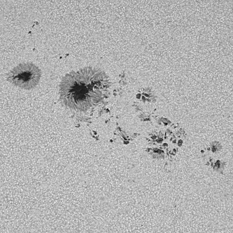 太陽黒点(活動領域14114&14115の一部) 2025/06/17