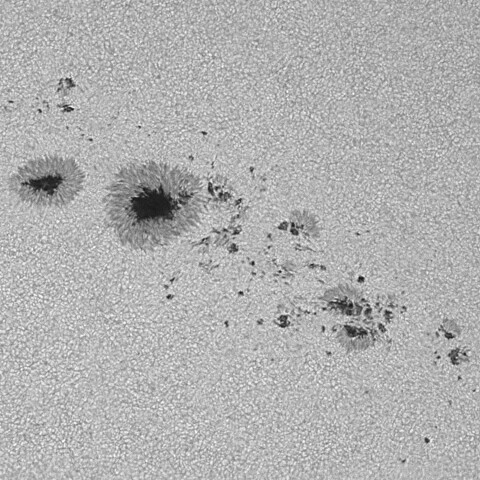 太陽黒点(活動領域14114&14115の一部) 2025/06/18