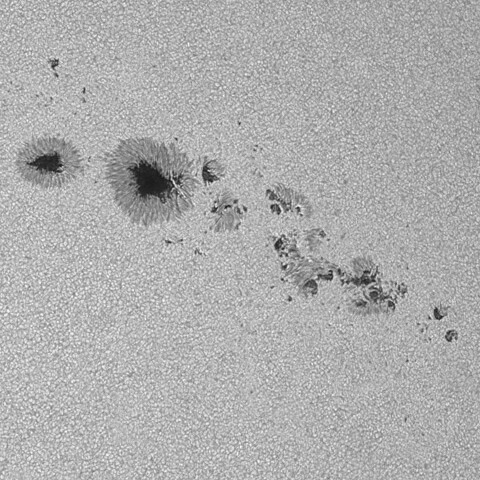 太陽黒点(活動領域14114&14115の一部) 2025/06/19