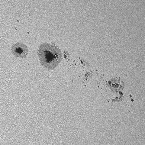 太陽黒点(活動領域14114&14115の一部) 2025/06/20