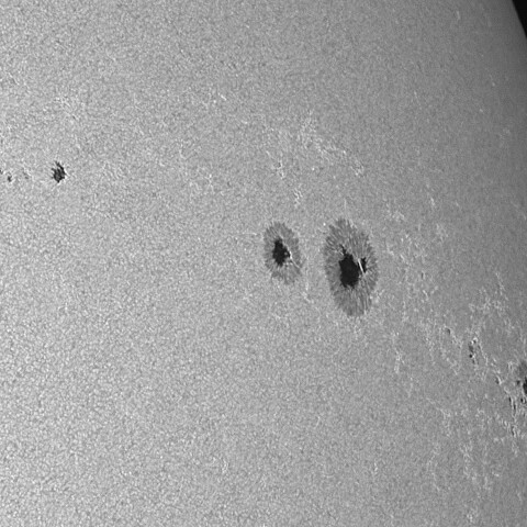 太陽黒点(活動領域14114&14115) 2025/06/22