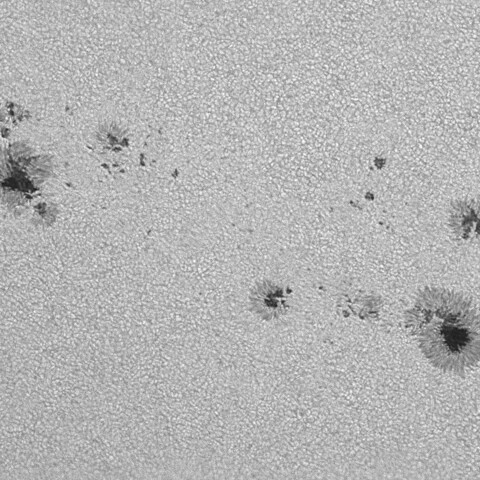 太陽黒点(活動領域14117&14118) 2025/06/23
