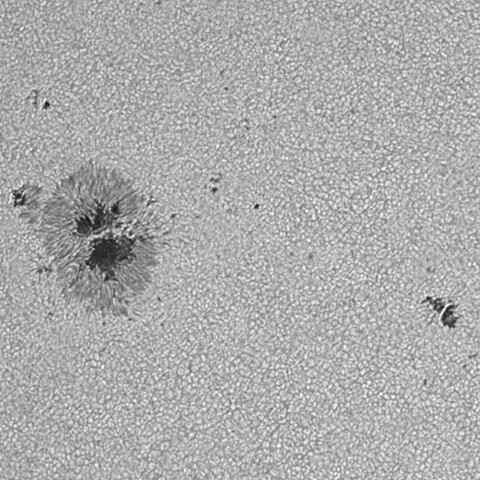 太陽黒点(活動領域14136) 2025/07/13