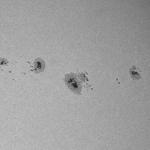 太陽黒点(活動領域14136&14139&14143&14146) 2025/07/18