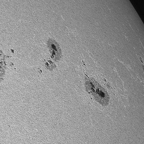 太陽黒点(活動領域14136&14139&14143) 2025/07/20