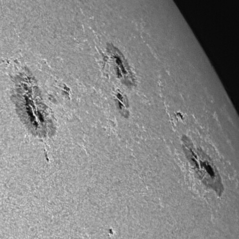 太陽黒点(活動領域14136&14143) 2025/07/21