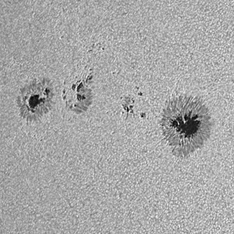 太陽黒点(活動領域14149) 2025/07/22