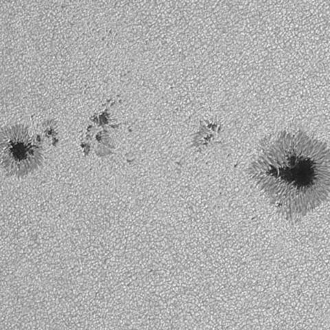 太陽黒点(活動領域14149) 2025/07/23