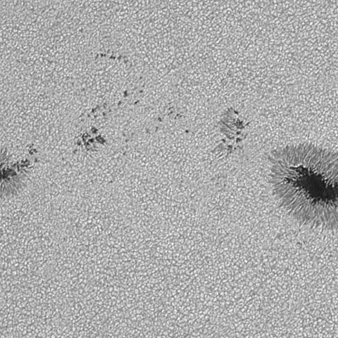 太陽黒点(活動領域14149) 2025/07/24