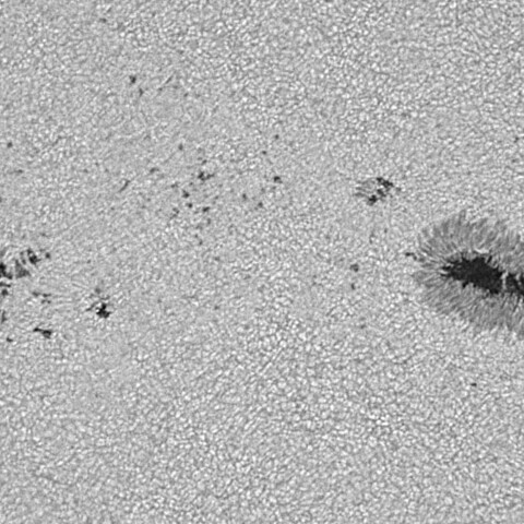 太陽黒点(活動領域14149) 2025/07/25