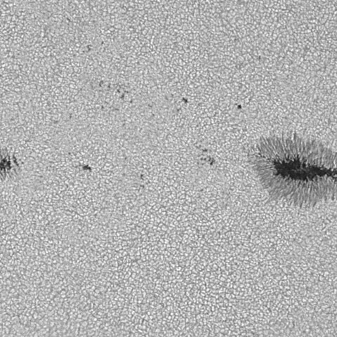 太陽黒点(活動領域14149) 2025/07/26