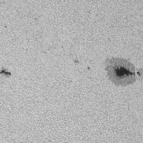 太陽黒点(活動領域14149) 2025/07/27