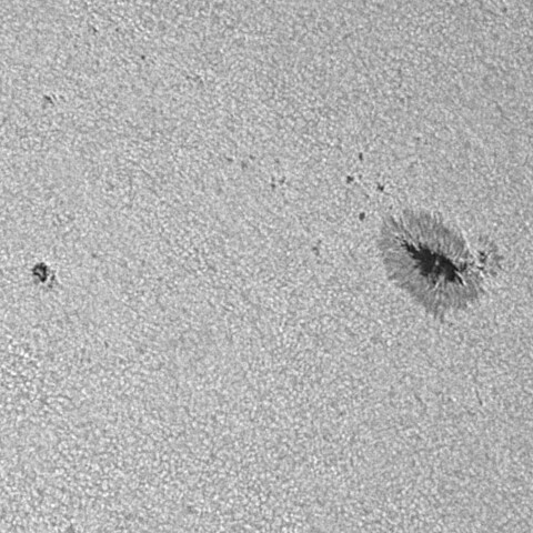 太陽黒点(活動領域14149) 2025/07/28