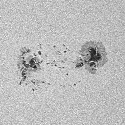 太陽黒点(活動領域14167) 2025/08/02