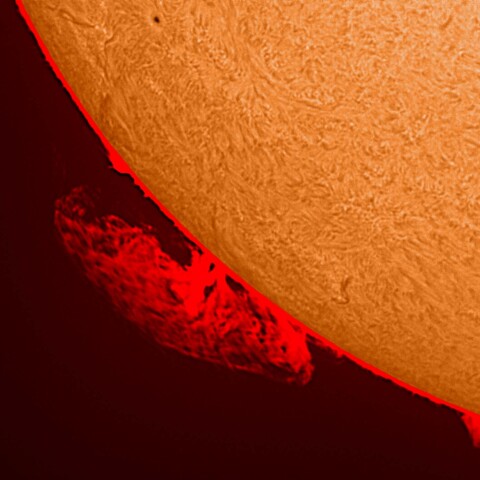 太陽プロミネンス 2025/08/20
