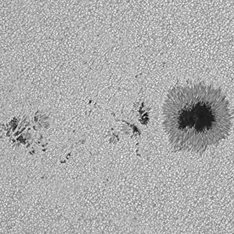 太陽黒点(活動領域14191) 2025/08/26