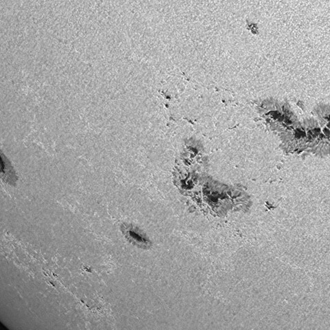 太陽黒点(活動領域14196&14197&14201&14202) 2025/08/27