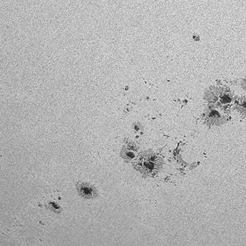 太陽黒点(活動領域14196&14197&14201&14202) 2025/08/28