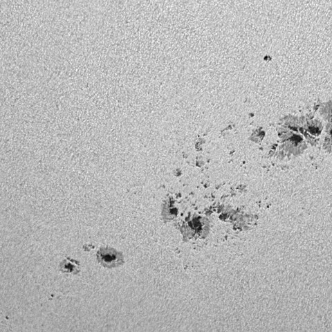 太陽黒点(活動領域14196&14197&14201&14202) 2025/08/29