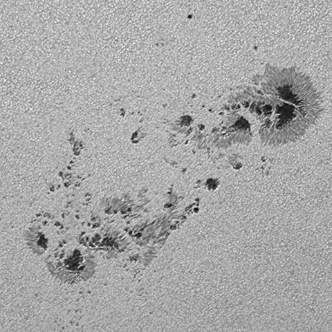 太陽黒点(活動領域14197) 2025/08/30