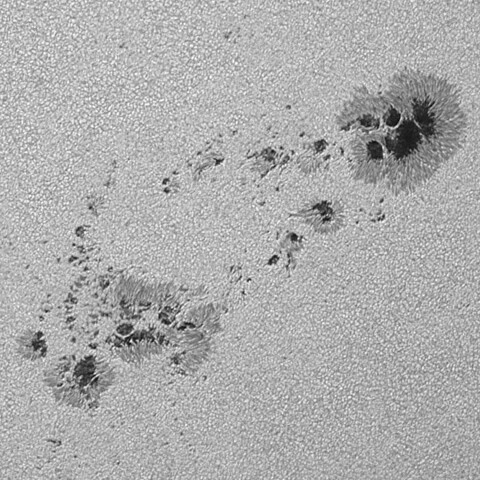 太陽黒点(活動領域14197) 2025/08/31