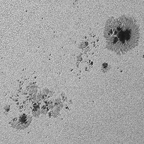 太陽黒点(活動領域14197) 2025/09/01