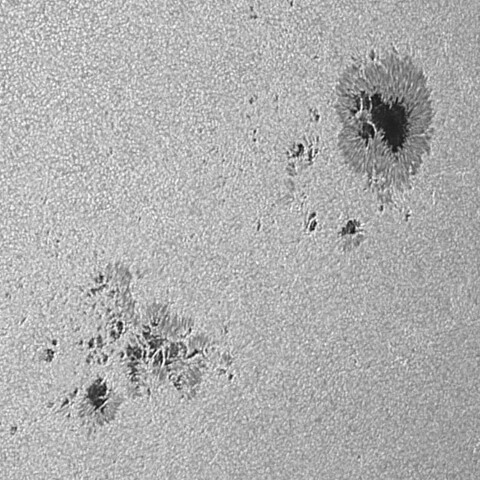 太陽黒点(活動領域14197) 2025/09/02