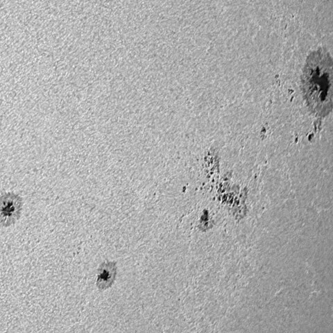 太陽黒点(活動領域14197&14201&14202) 2025/09/03