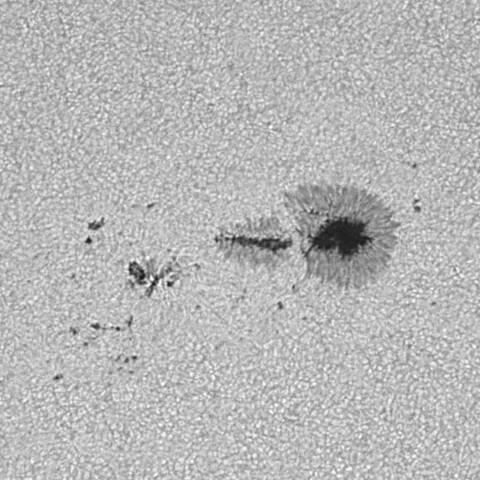 太陽黒点(活動領域14207) 2025/09/06