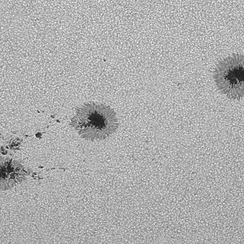 太陽黒点(活動領域14211&14213) 2025/09/08