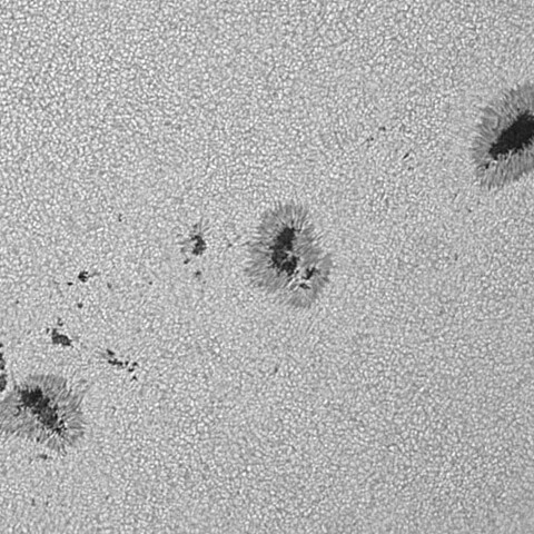 太陽黒点(活動領域14211&14213) 2025/09/10