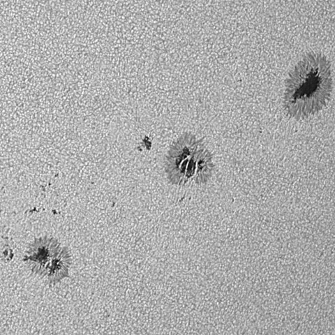 太陽黒点(活動領域14211&14213) 2025/09/11