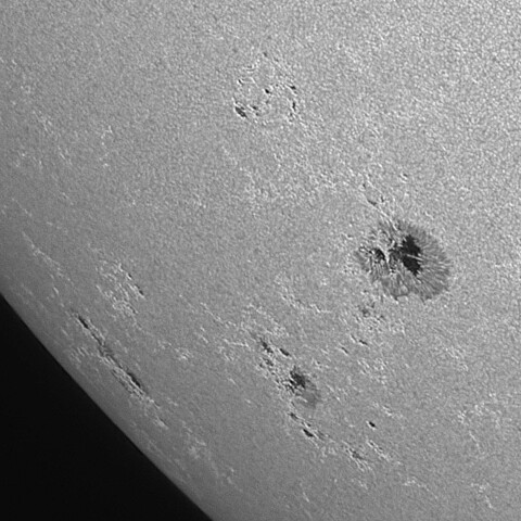 太陽黒点(活動領域14217) 2025/09/16