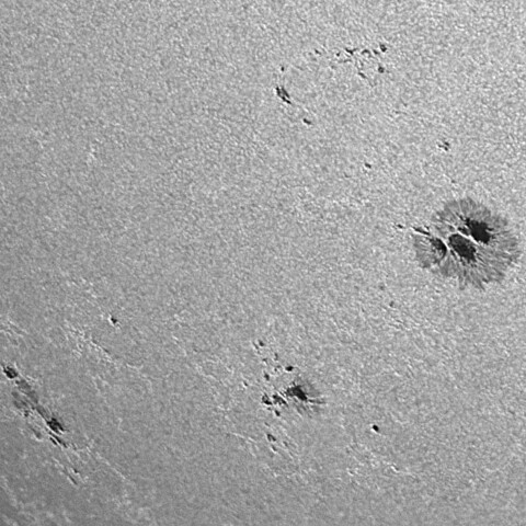 太陽黒点(活動領域14217&14223&14224) 2025/09/17